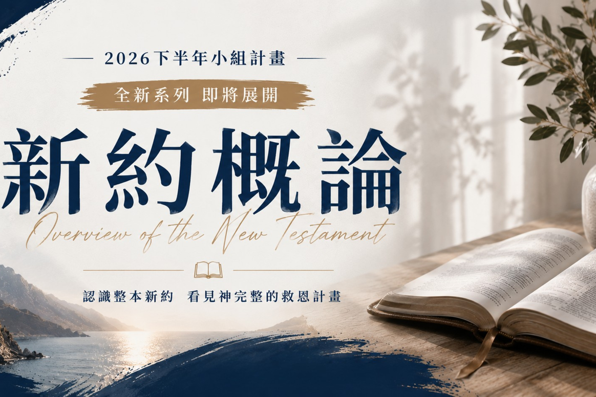新约知多少